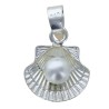 Pendentif coquille de saint Jacques de Compostelle double face en argent 925°/°° H. 1 cm (0,40 g). Livré en boite.