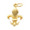 Pendentif en plaque or H. 1,5 cm de la fleur de lys. Livre en boite.