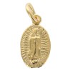 Medaille de la Vierge de Guadalupe en plaque or, H.1,4 cm Livree en boite.
