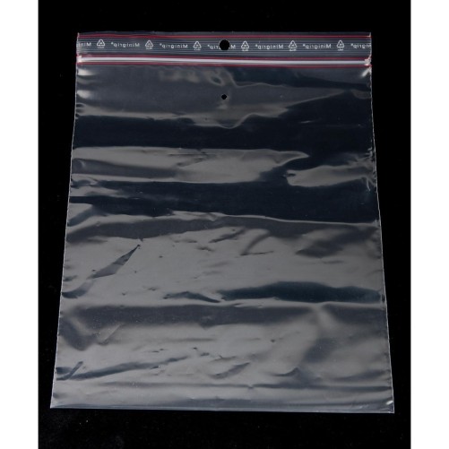 100 sachets plastique 4 x 6 cm