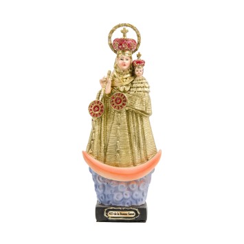 Statue en resine peinte a la main de Notre Dame de Velankanni ( Notre Dame de bonne sante) H. 20 cm.
